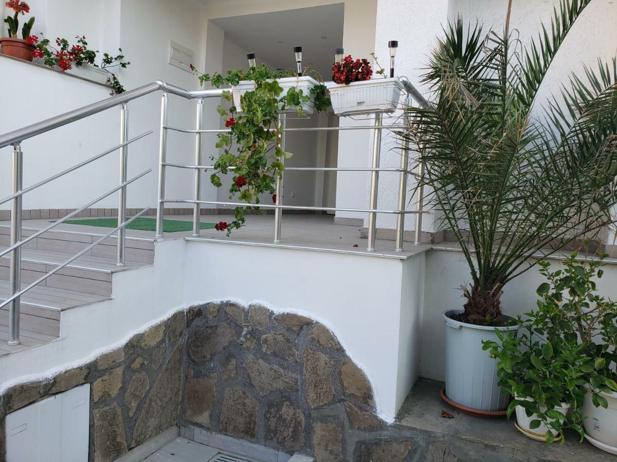 Guest House Evtimov Primorsko Dış mekan fotoğraf